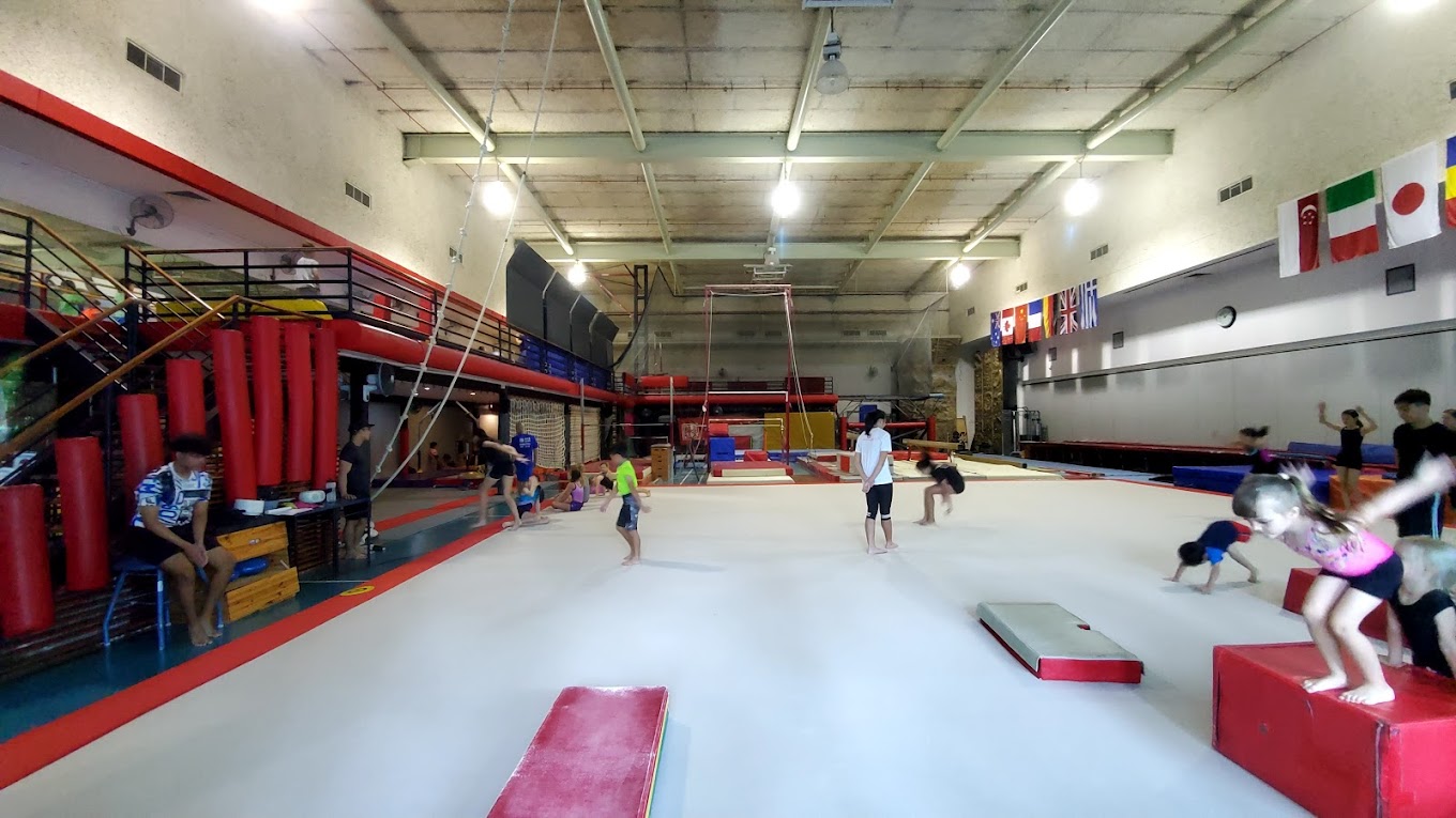 Gymnastics Group Class (Adults, All Levels)
