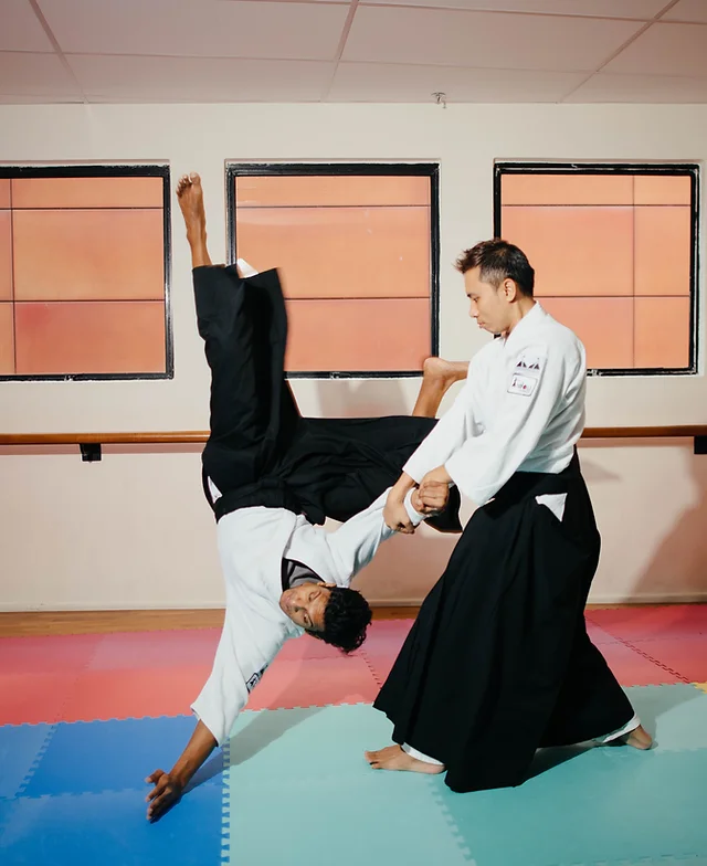 Multi-Jitsu Group Class (All Ages, All levels)