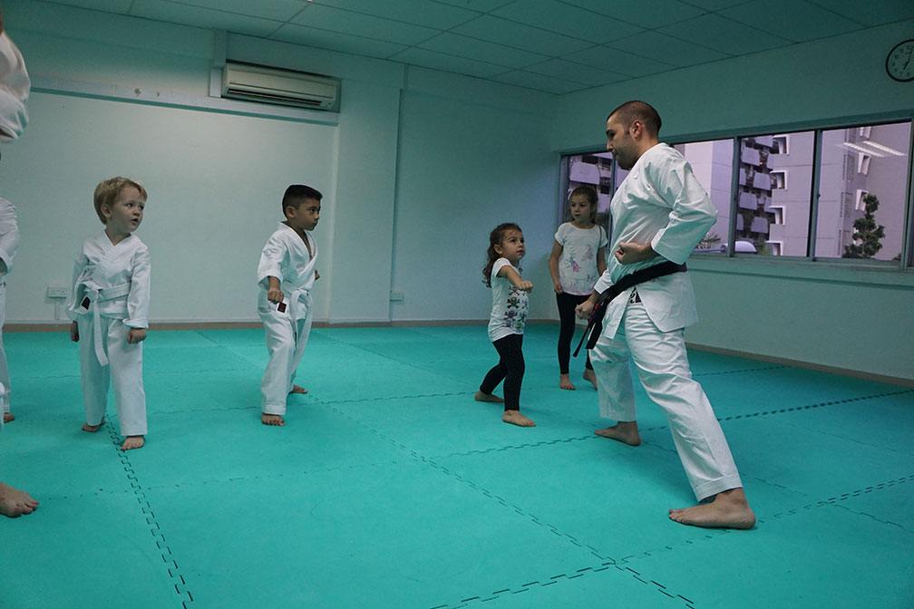 Karate Group Class (Ages 4 to 6, All Levels)