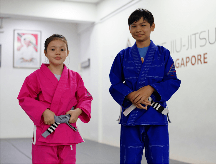 BJJ Group Class (Ages 9-13, All Levels)