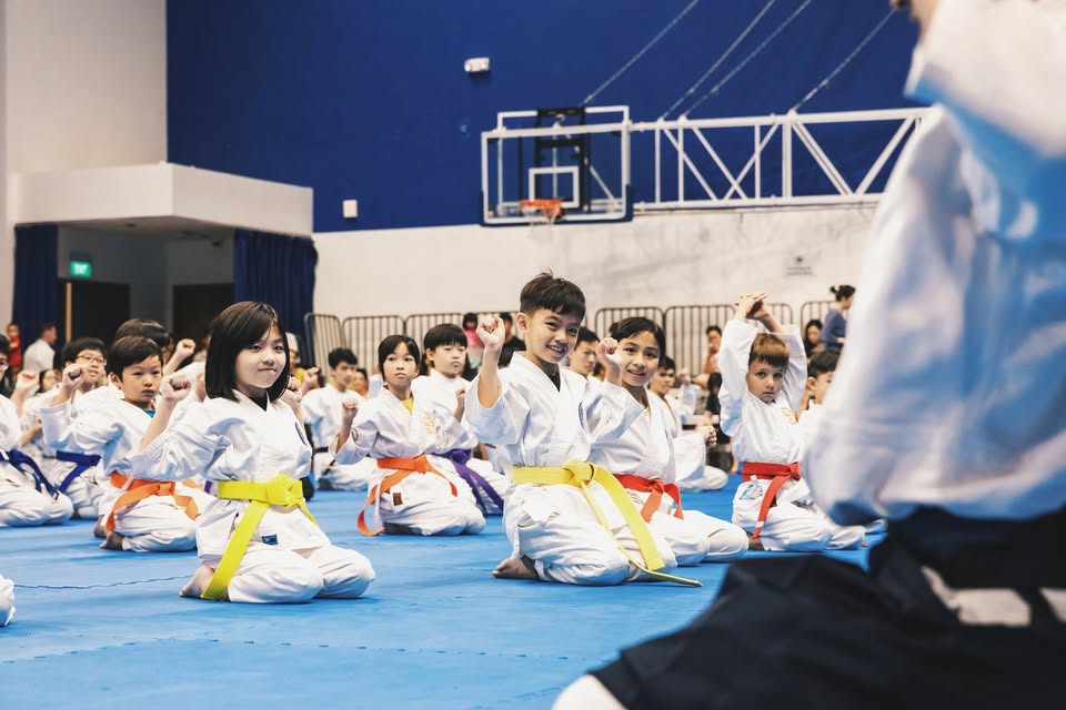 Aikido Group Class (Ages 7-12, Beginner)