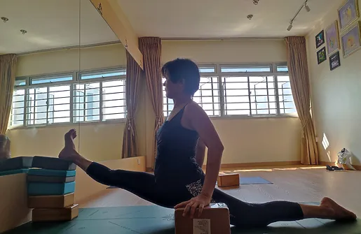 Hatha Yoga Group Class (All Ages, All Levels)