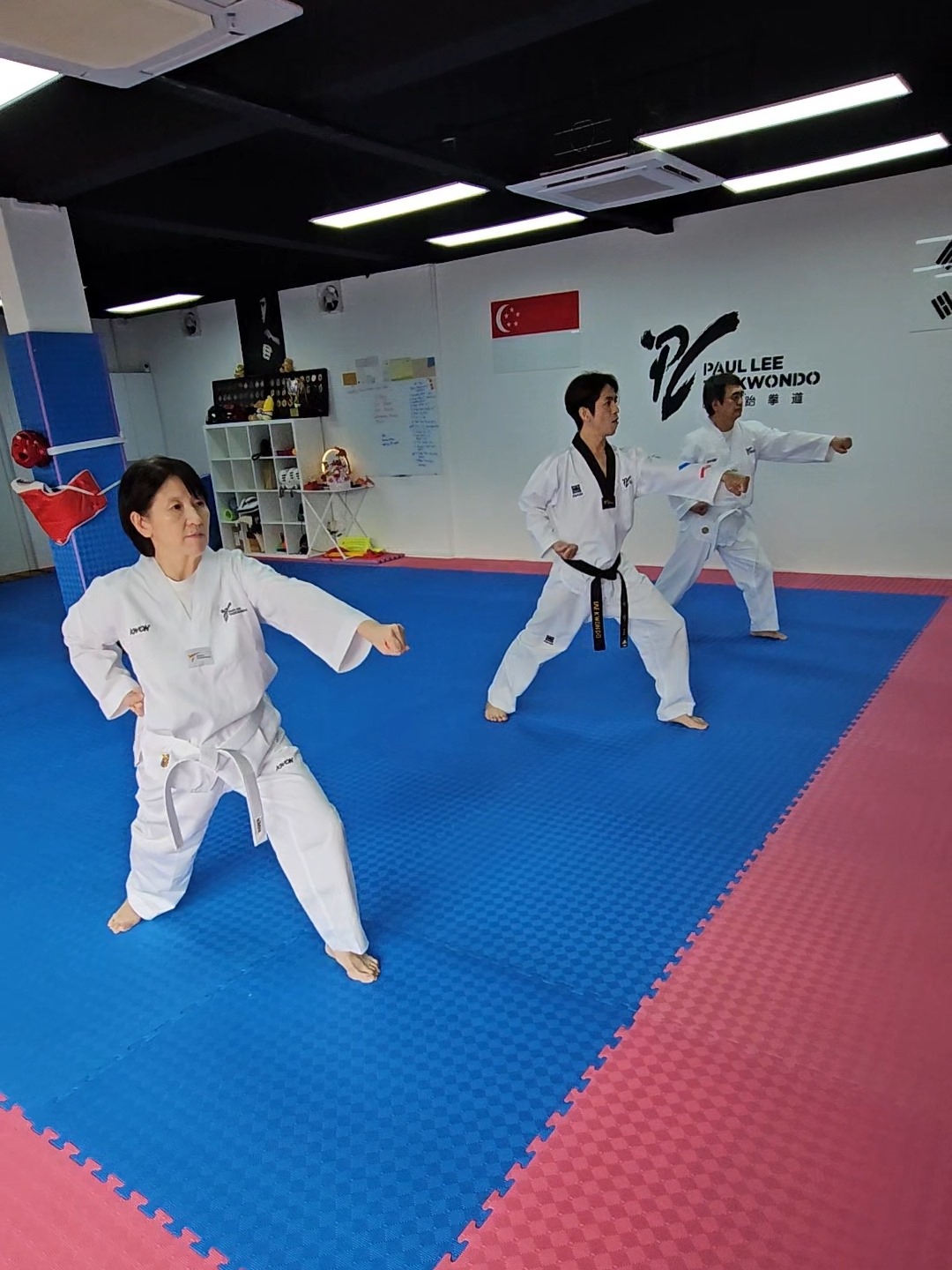 Taekwondo Group Class (Adults & Teens, All Levels)