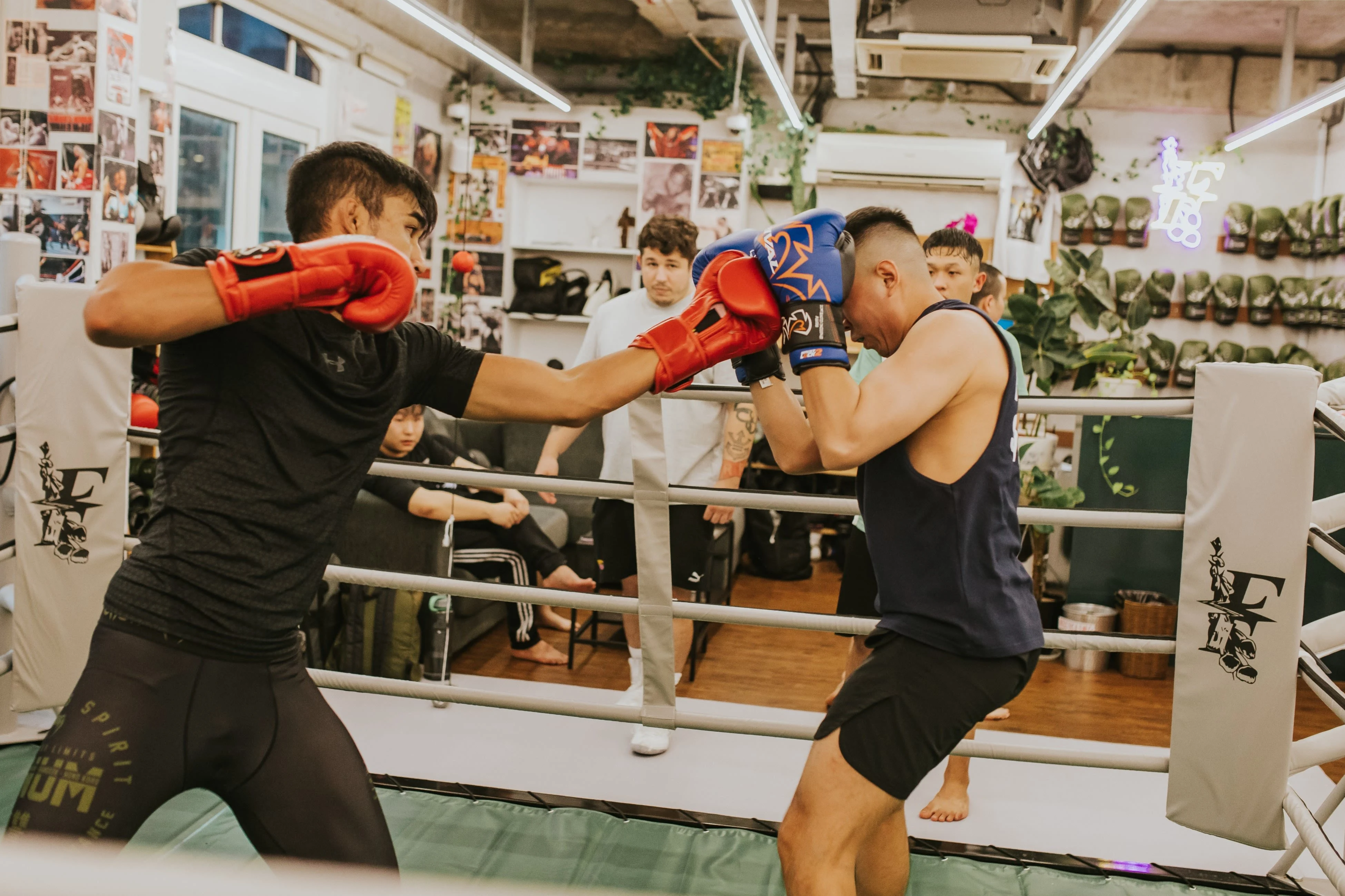 Boxing Group Class (Adults & Teens, Beginner)