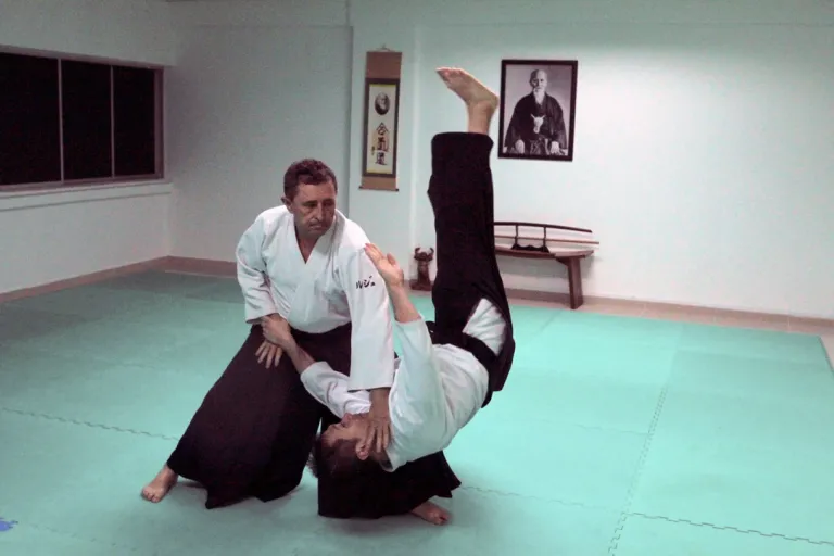 Aikido Group Class (Adults & Teens, All Levels)