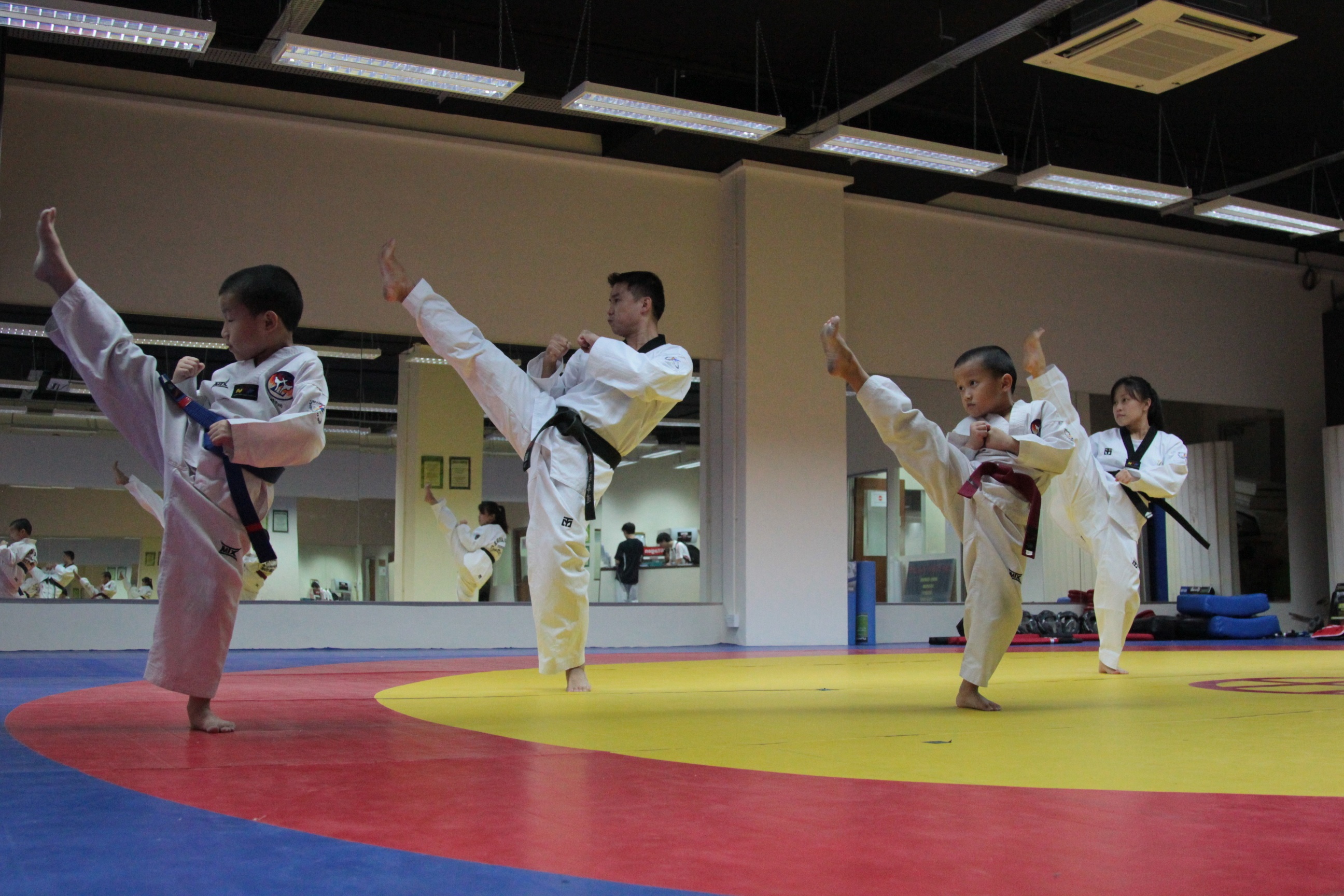 Taekwondo Group Class (Adults & Teens, All Levels)
