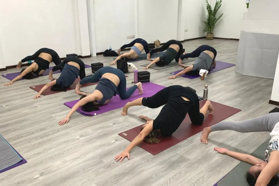 Hatha (Multi-level) Group Class