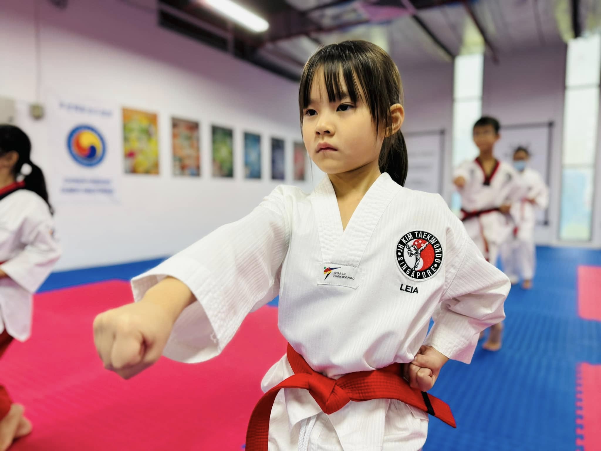 Taekwondo Group Class (Ages 5-10, All Levels)