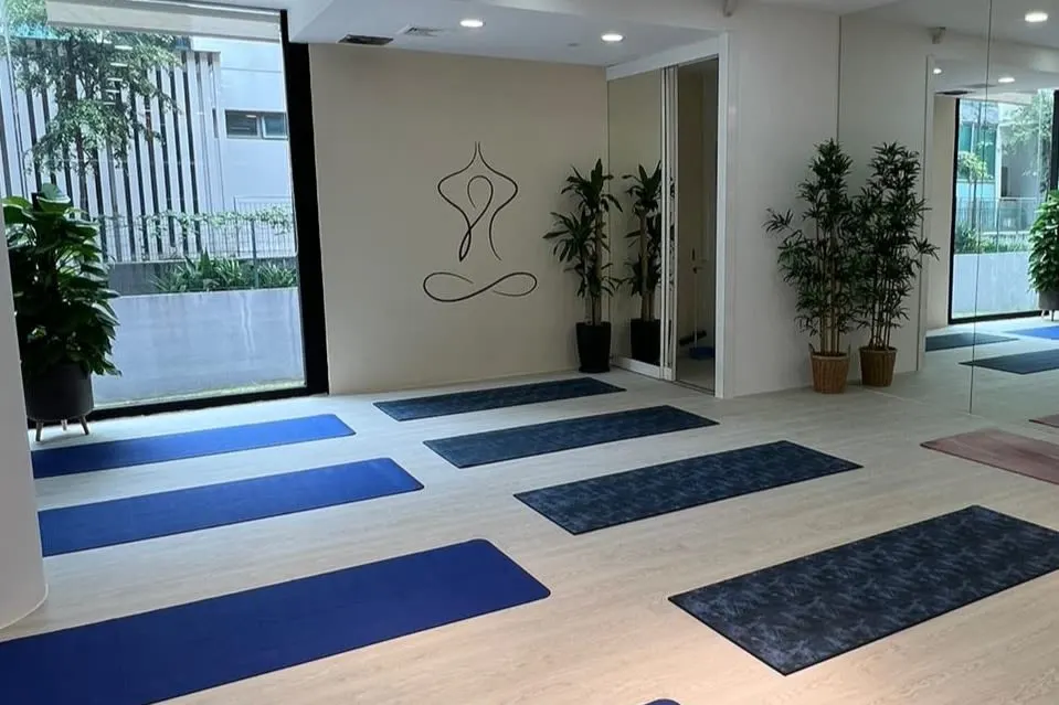 Lower Back Stretch Group Class (Adults, All Levels)