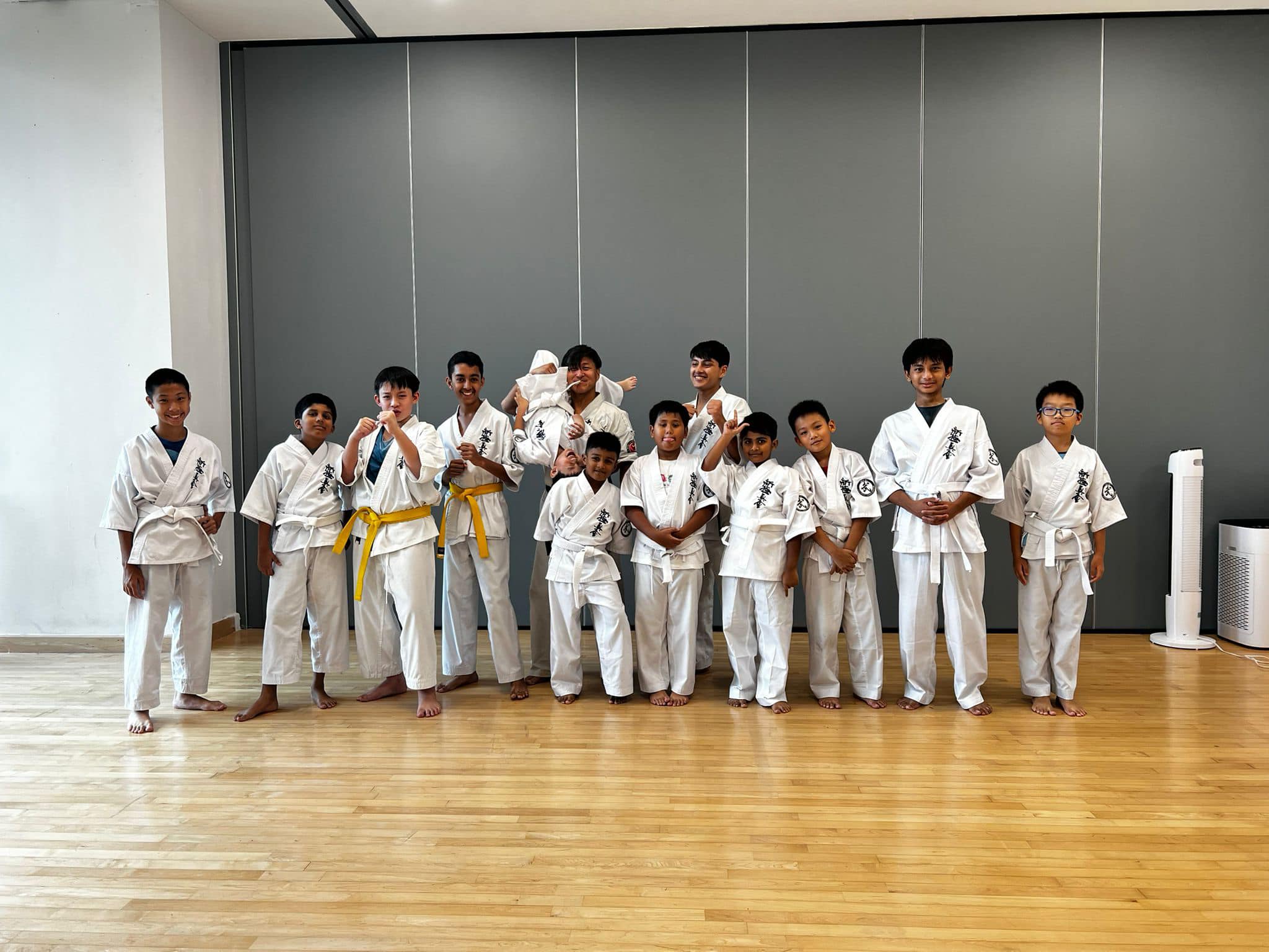 Karate Group Class (Ages 6-12, All Levels)