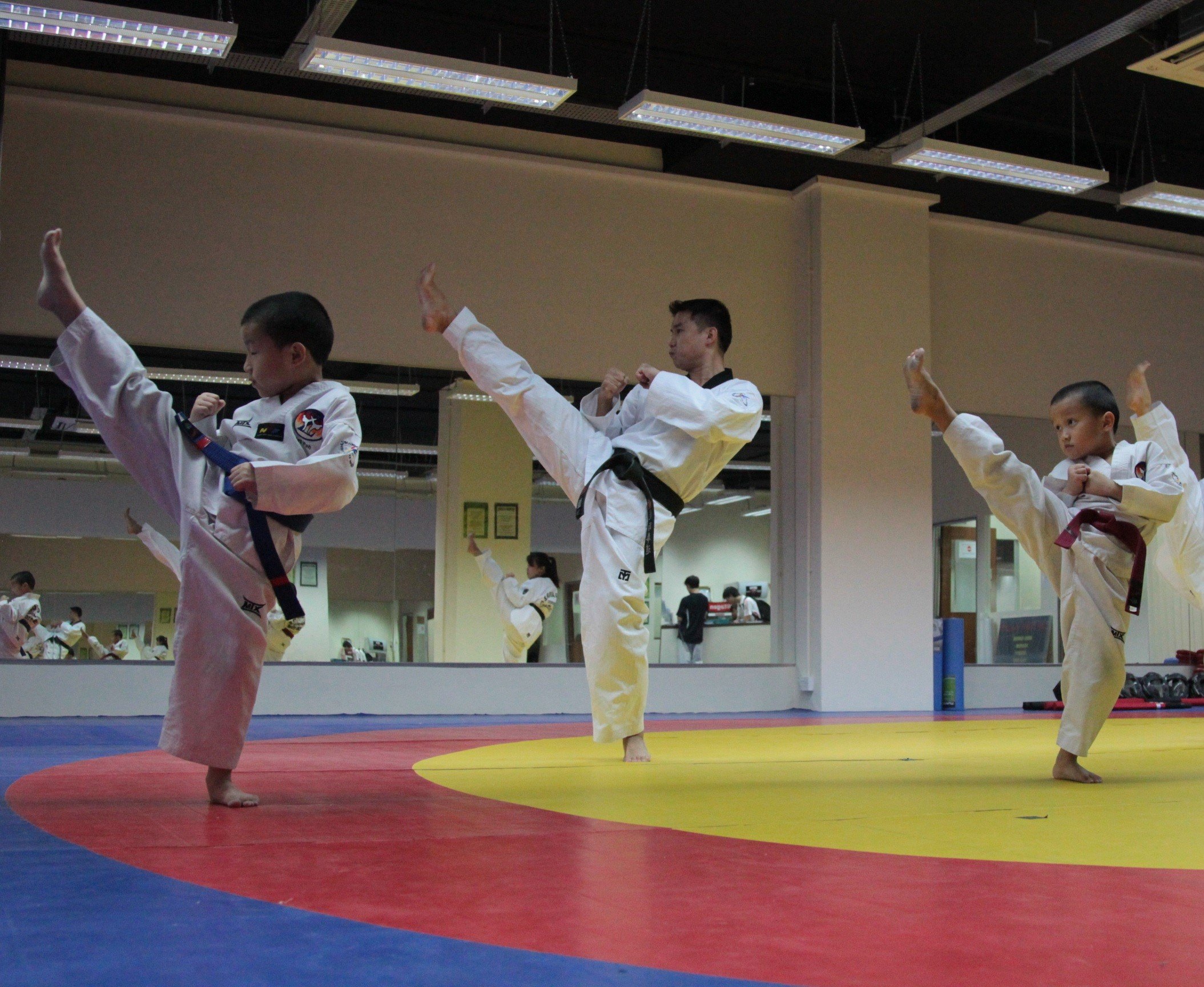 Taekwondo Group Class (Adults & Teens, All Levels)