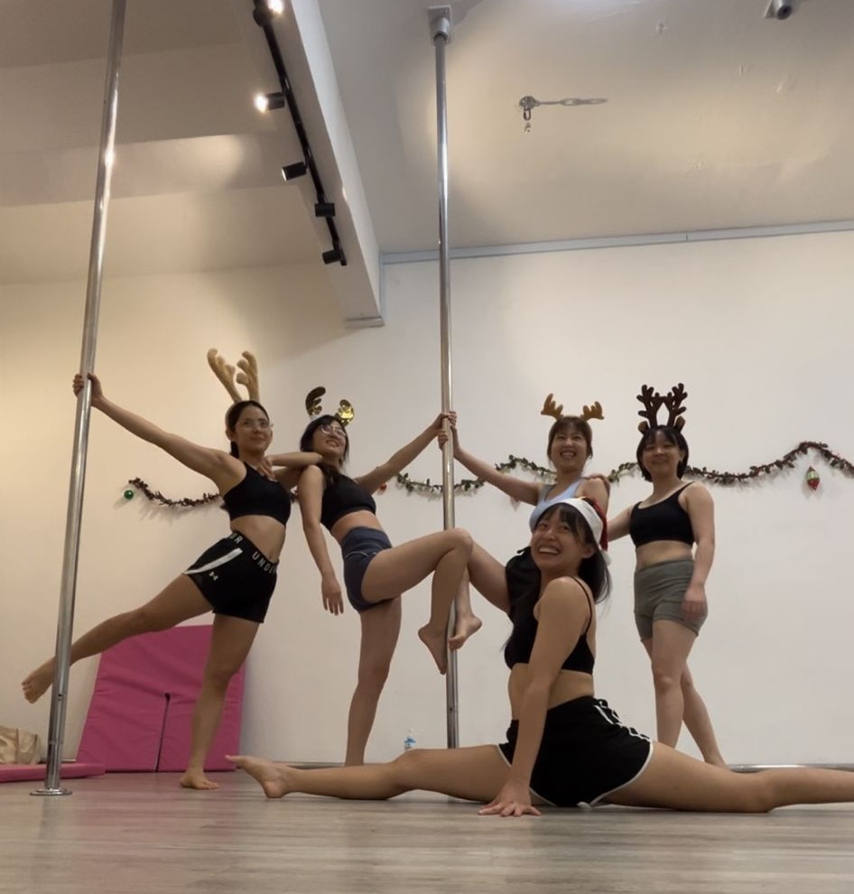 Pole Inversion Group Class (Adults, Intermediate)