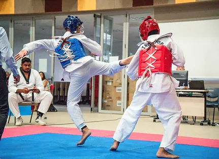 Taekwondo Sparring Group Class (Adults, All Levels)