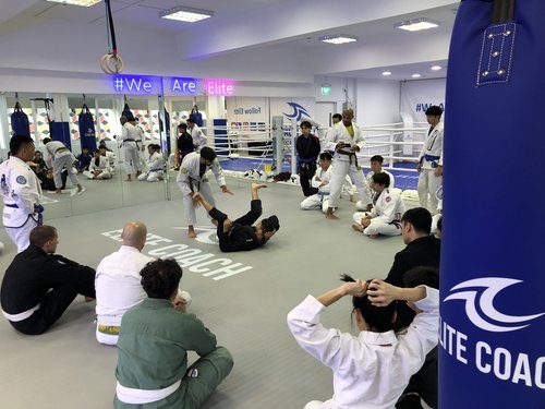 BJJ Group Class (Adults & Teens, Beginner)