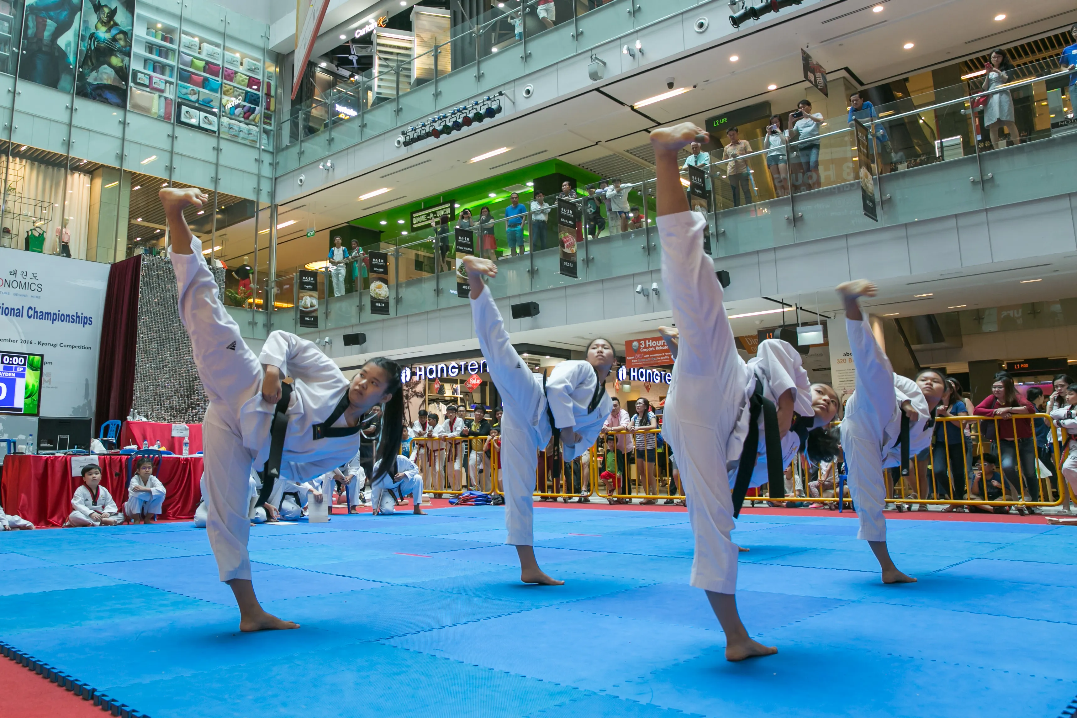 Taekwondo Group Class (All Ages, All Levels)