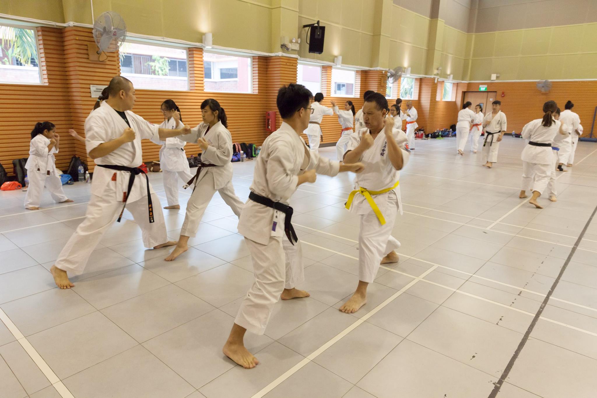 Lion Heart Academy