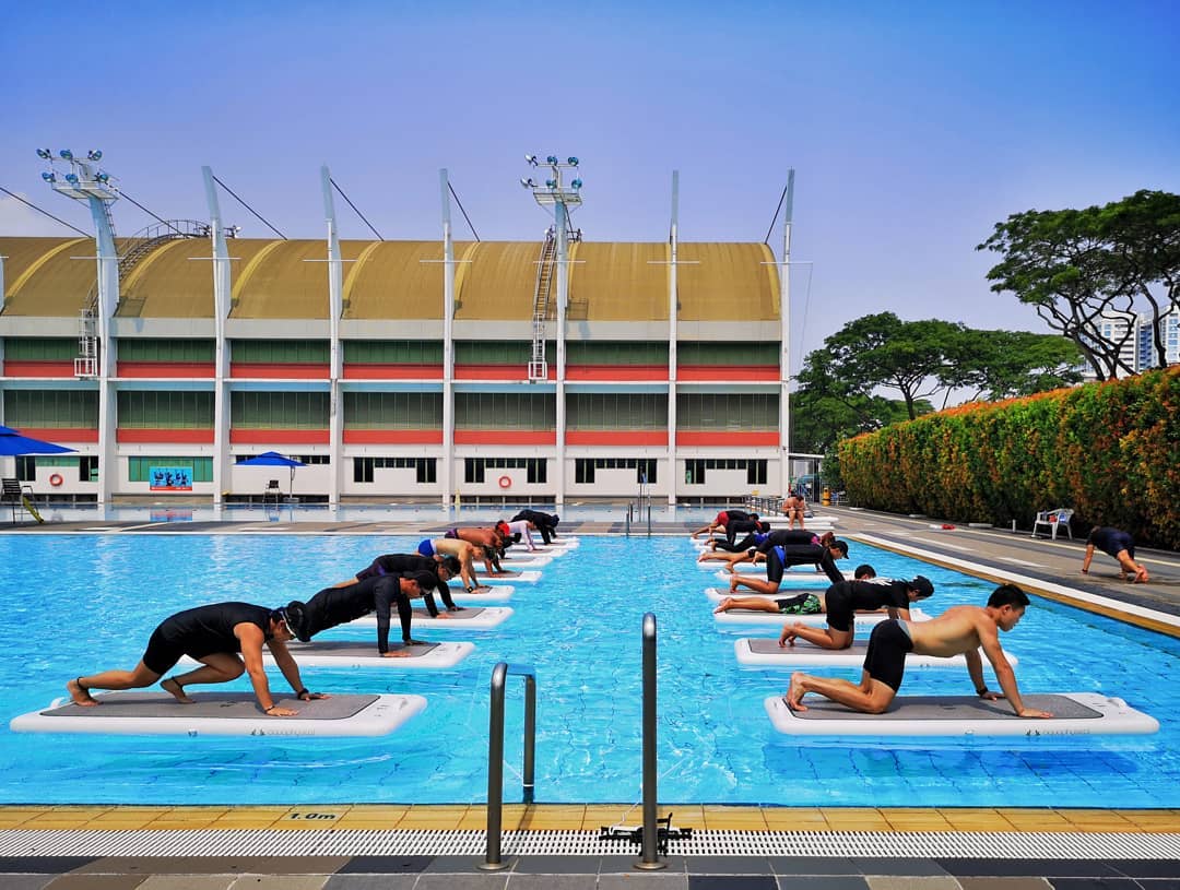 School of Swimology