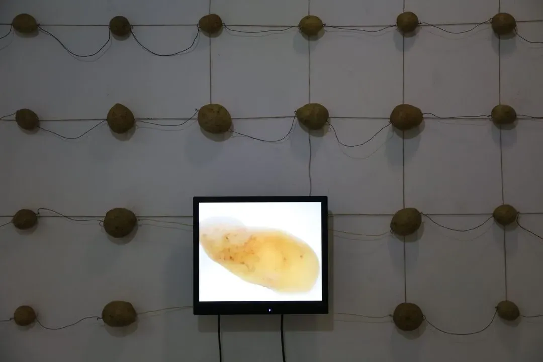 I Potato self-portrait, image 2