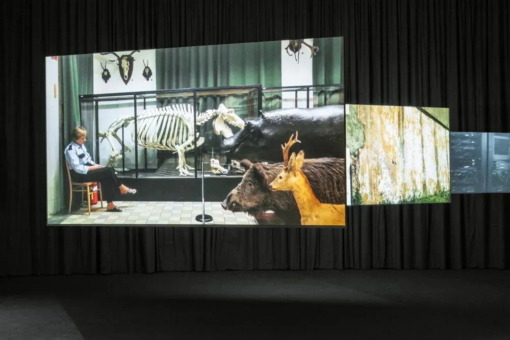 Harun farocki again, image 2