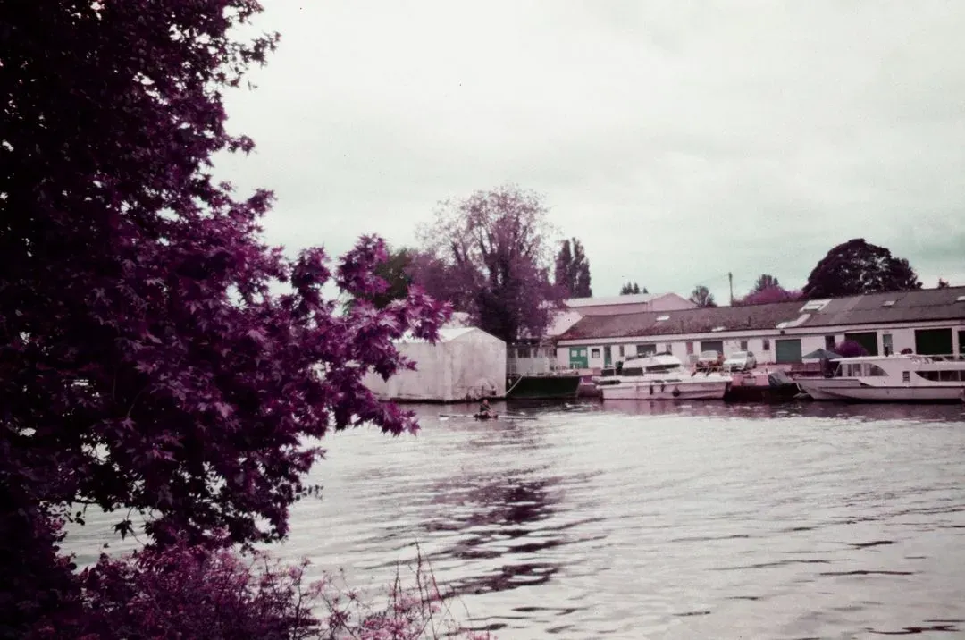 Film Photography - Lomochrome Purple XR 100-400 35mm, image 3