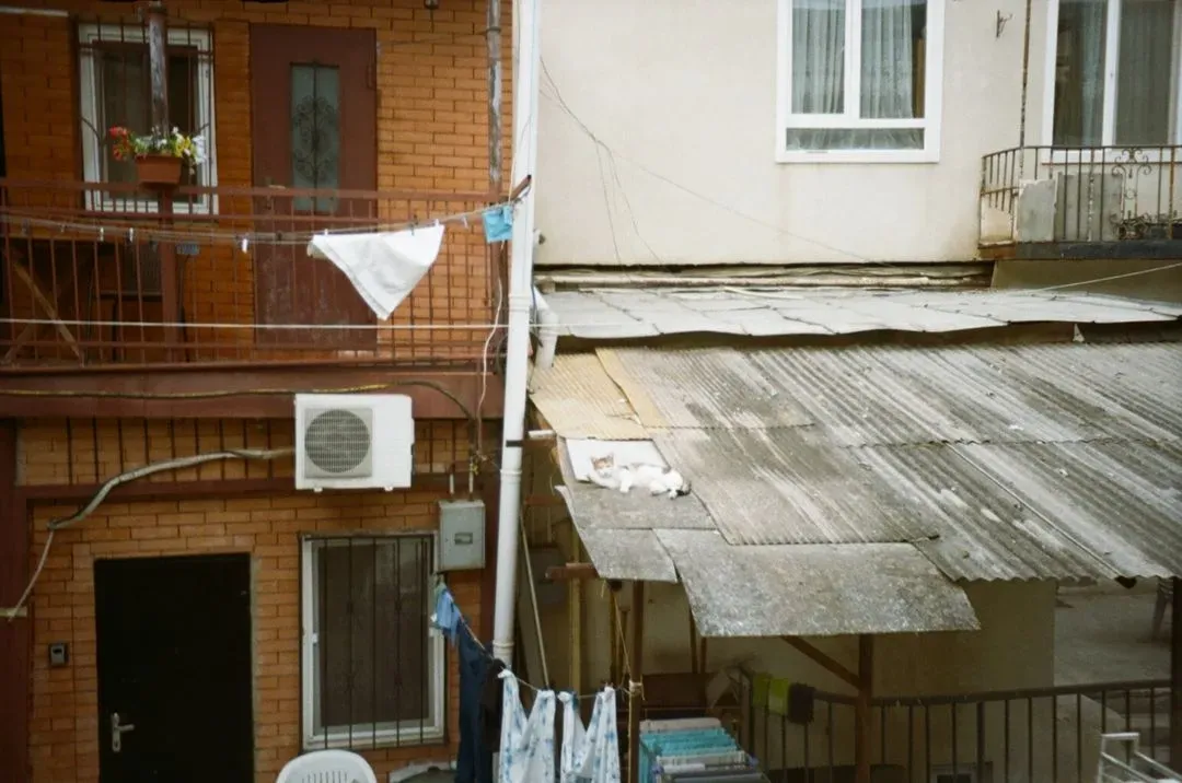 Georgia Film Photography - 35mm, image 1