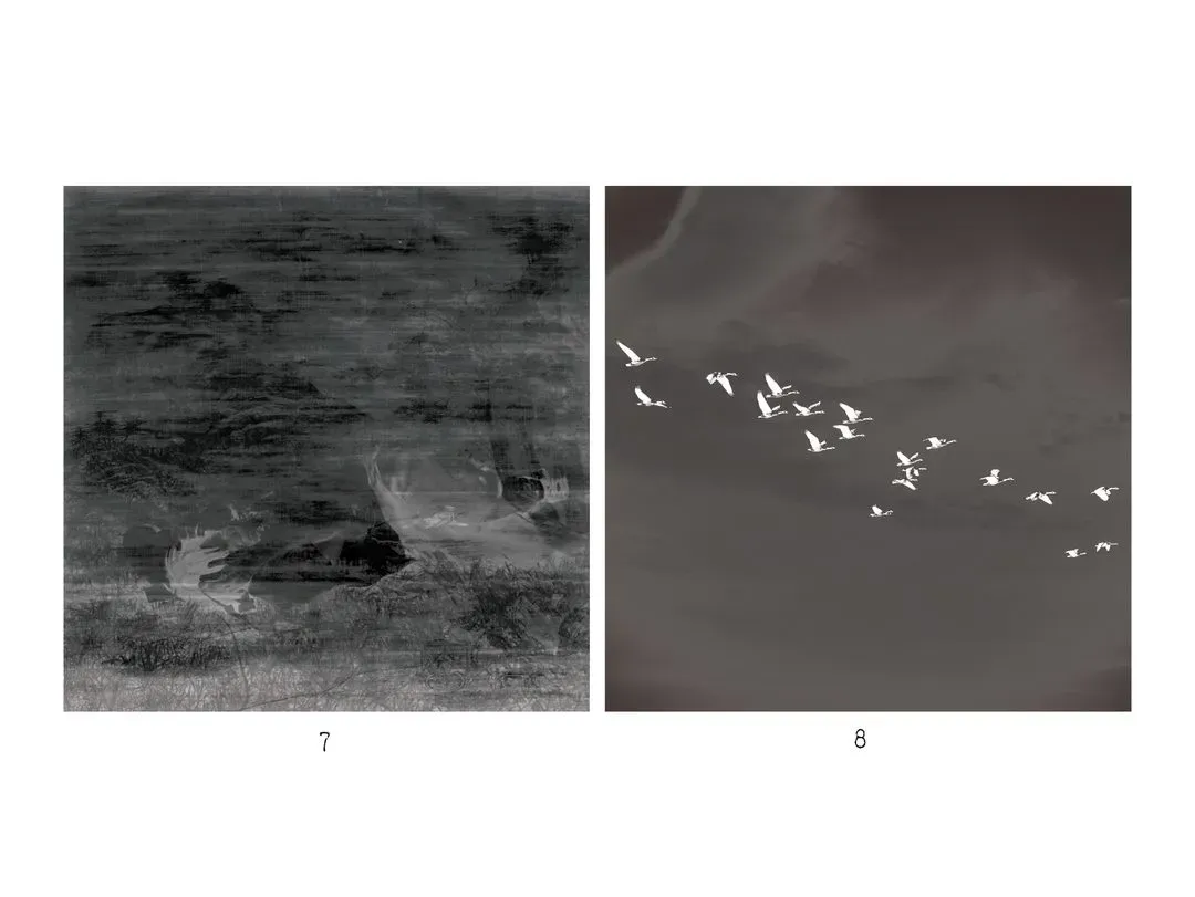 Images 7-12, image 1