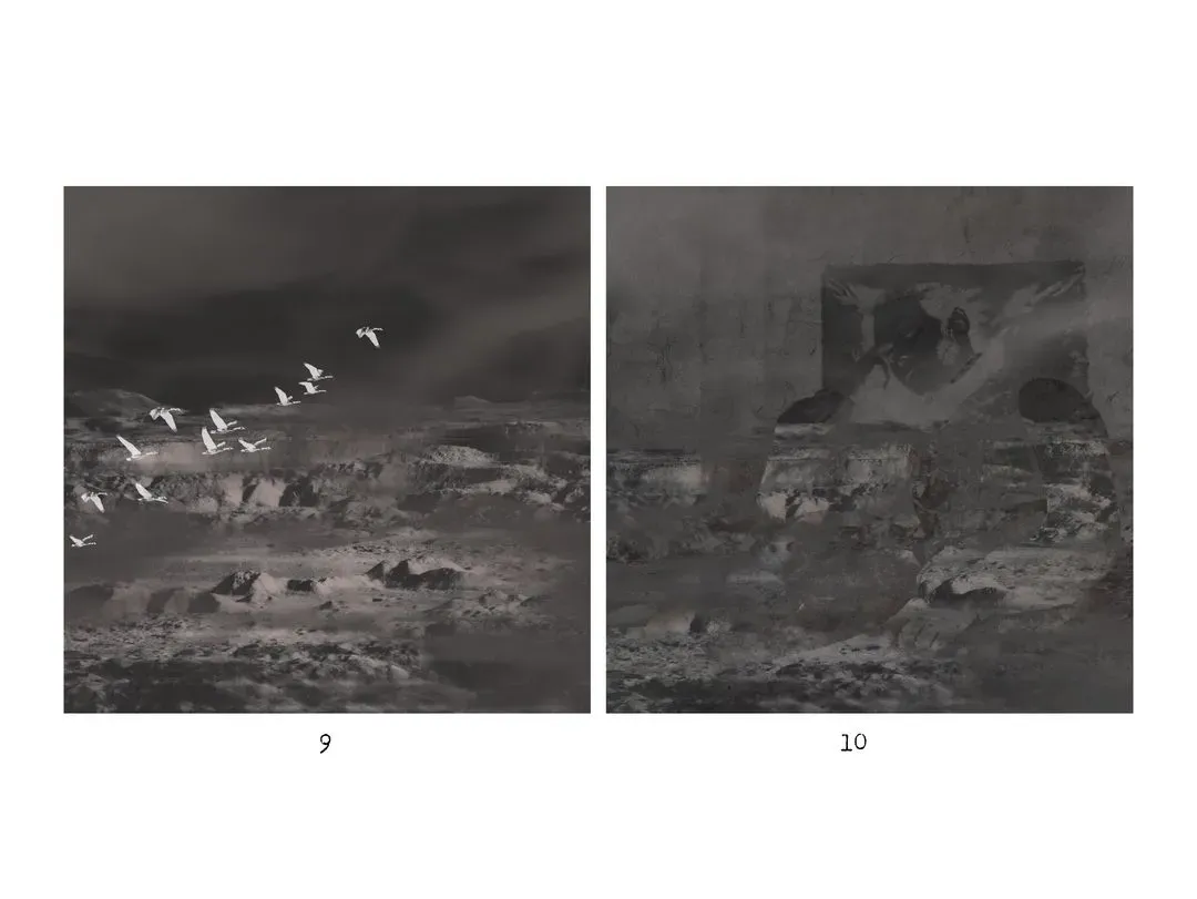 Images 7-12, image 2