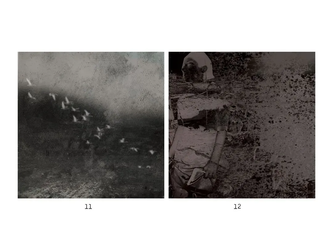 Images 7-12, image 3