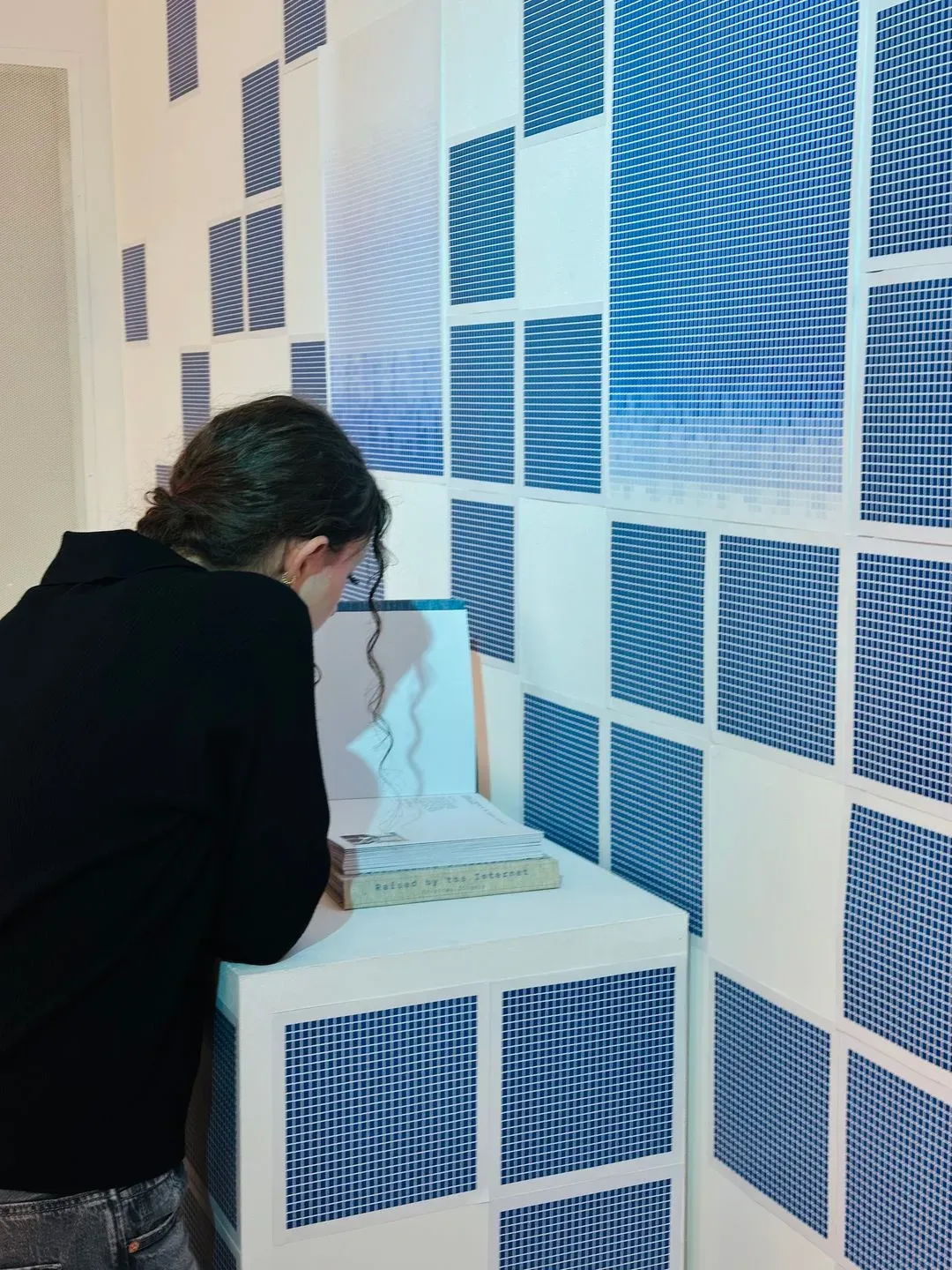 Exhibition Showcase, image 3