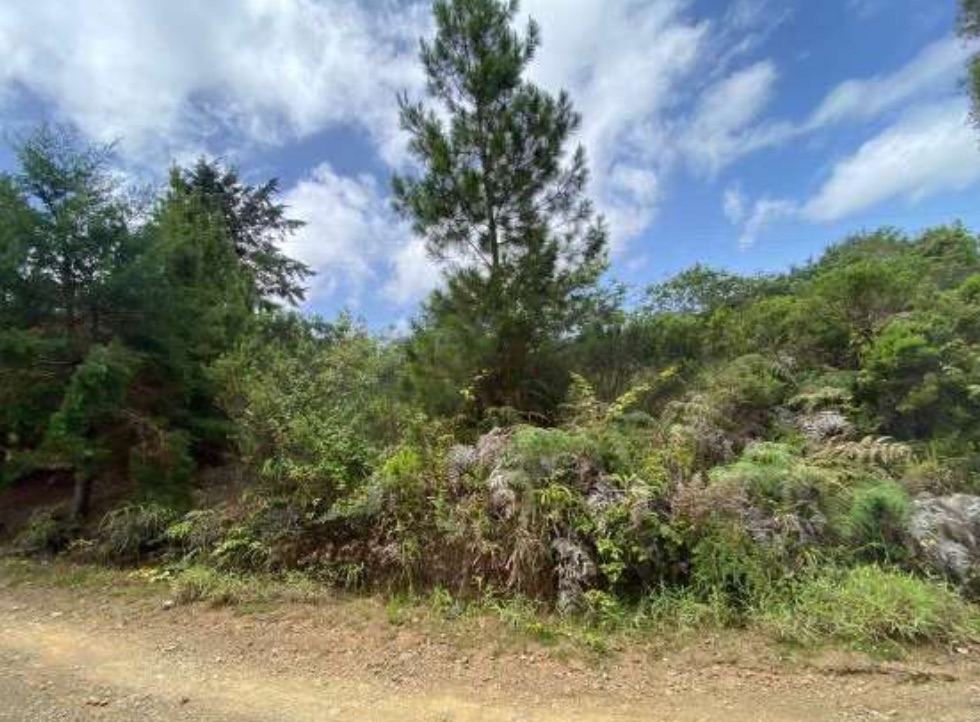 Terreno en Rancho Guaraguao