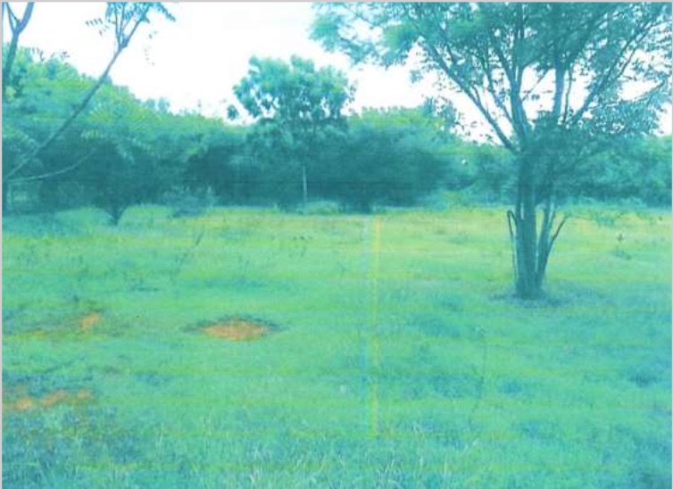 Terreno en la Romana