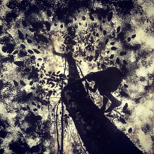 Tableau : Ma fugue dans les arbres.