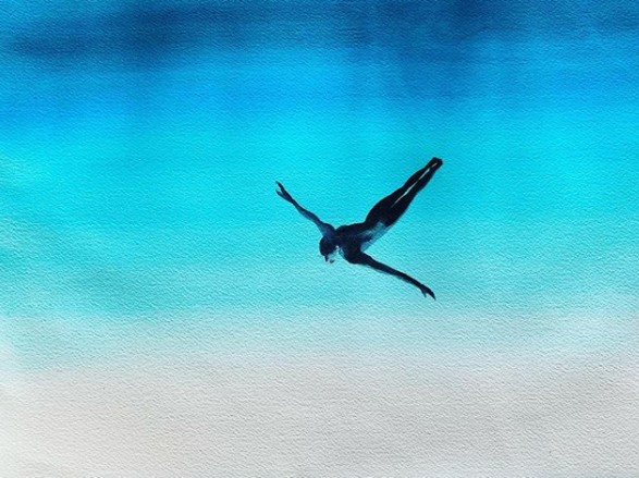 Tableau : Vol plané.