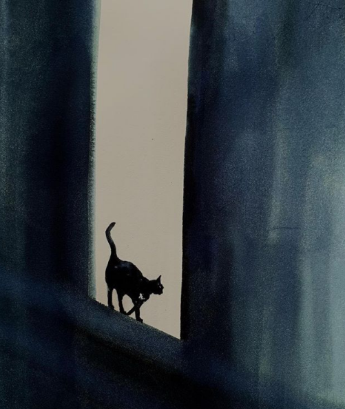 Tableau : Pas un chat.