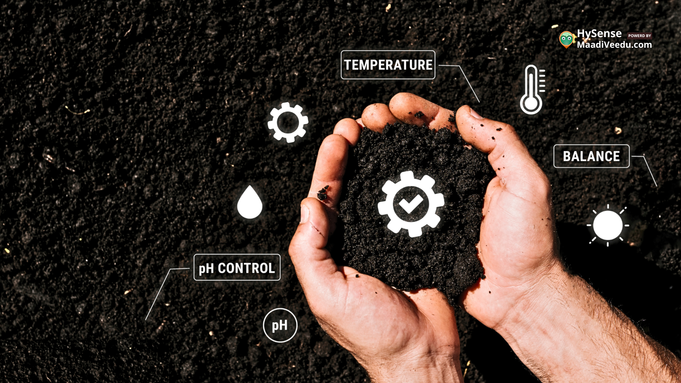 From Soil Health to Market Access: 7 Essential Crop Land Management Tips 