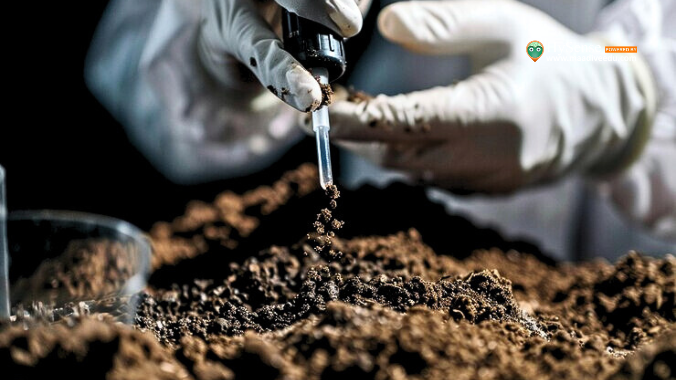 The Main Purpose of Soil Testing: 5 Key Reasons to Test Your Soil