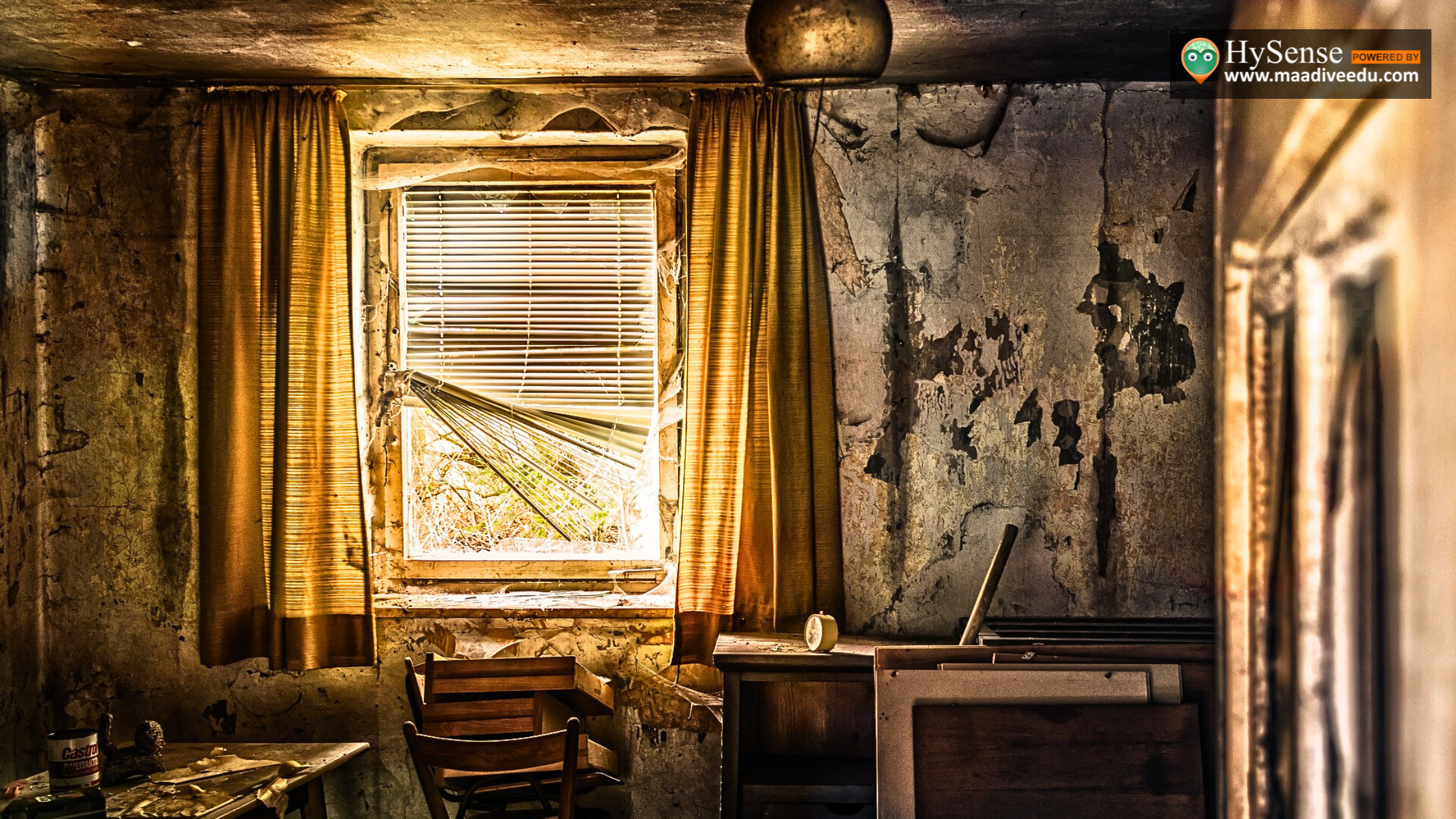 Can I buy an Old House? 7 Pros and Cons You Should Know