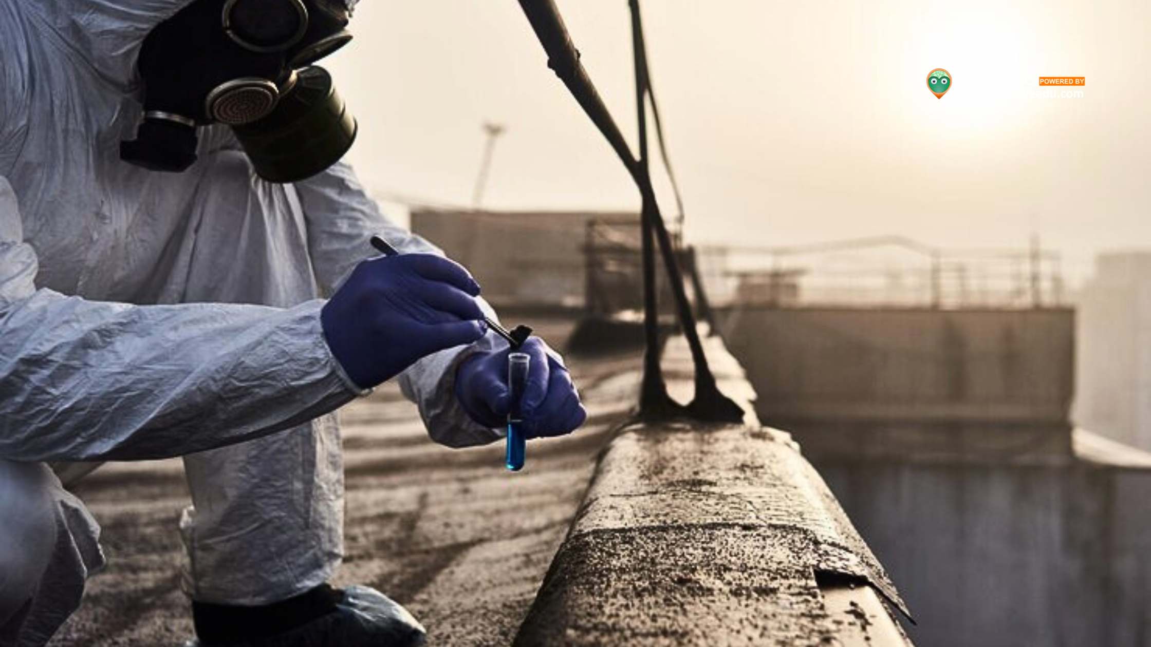 Anti-Termite Treatment in Construction: 6 Essential Types & Benefits