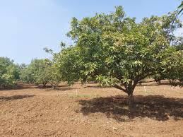 HRK GREEN WORLD - Property Image