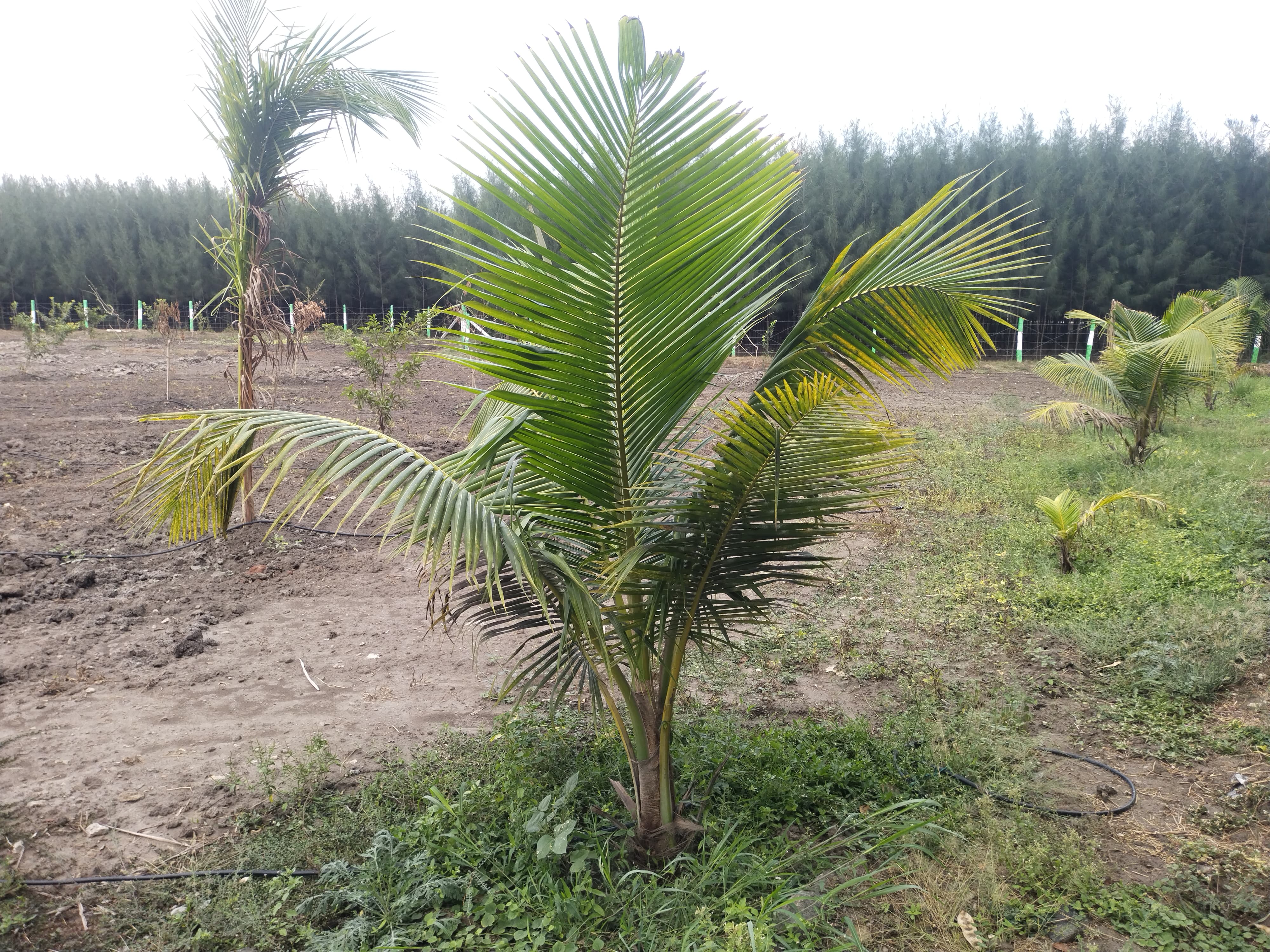 Hrk green world  - Property Image