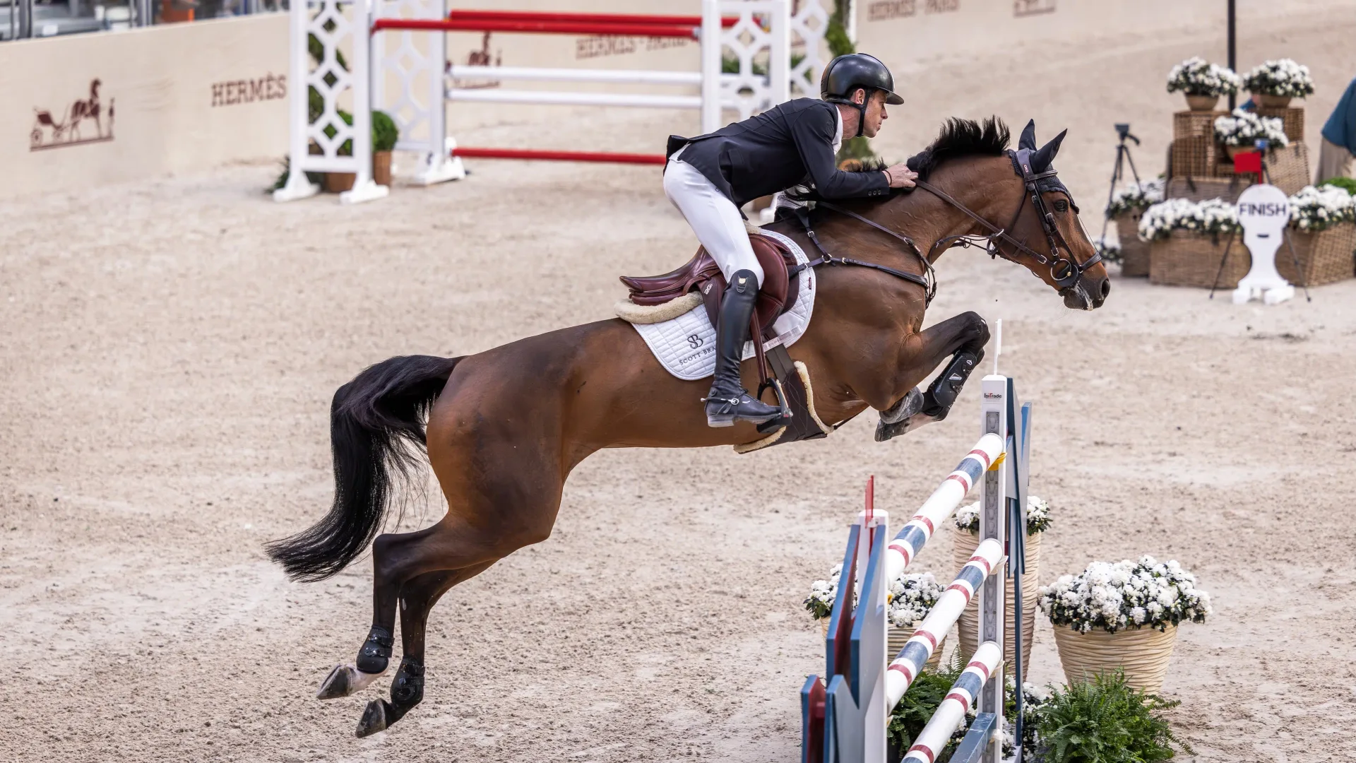 N°1 - Scott BRASH - HELLO CHADORA LADY