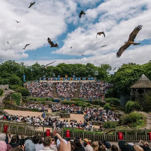 https://www.puydufou.com/france/fr