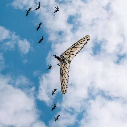 https://www.puydufou.com/france/fr