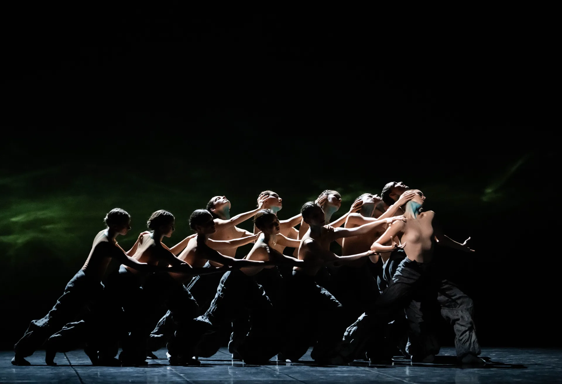 Тейлор / Эк / Пайт в Opera Garnier 