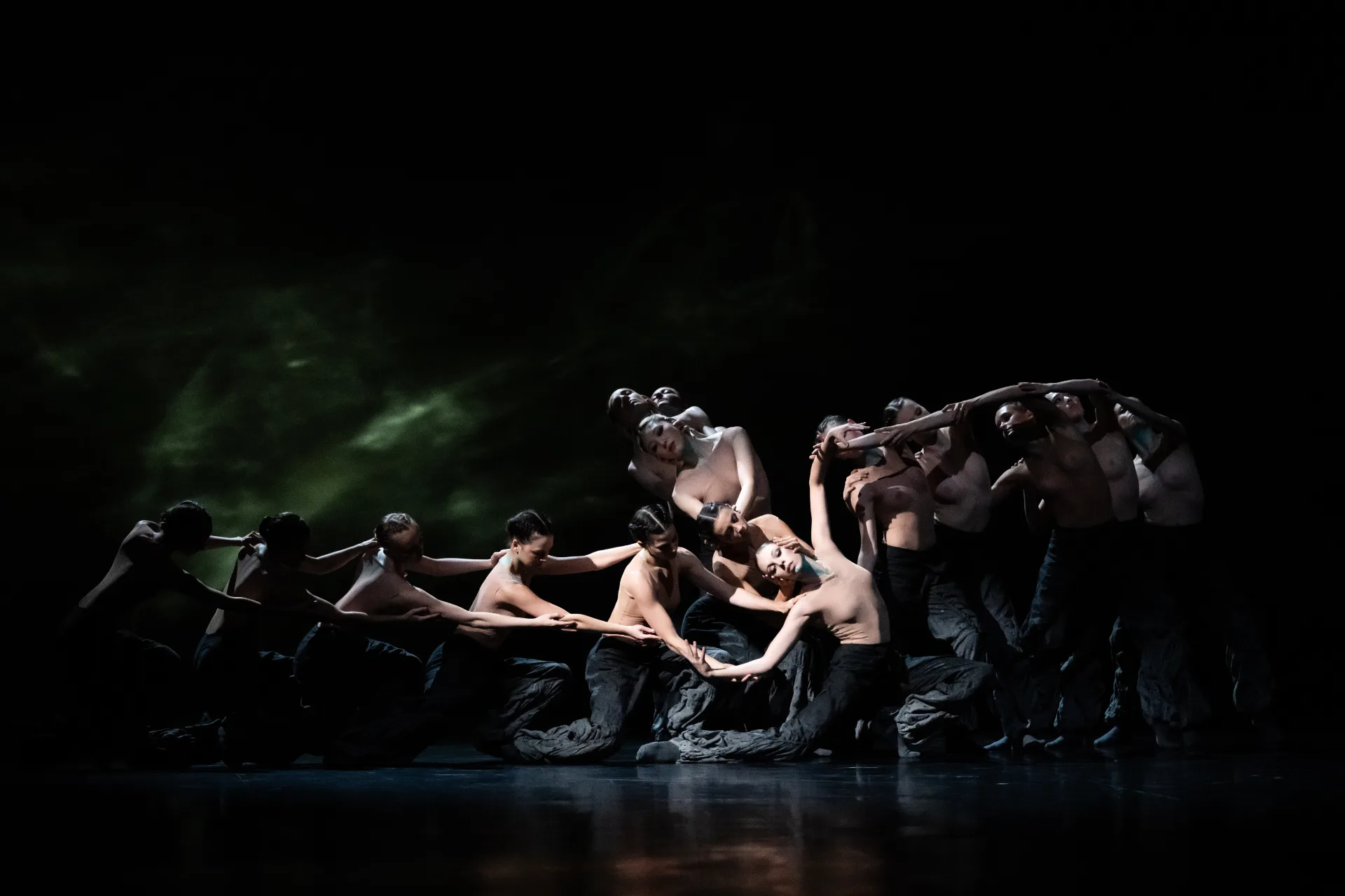 The Season’s Canon Кристал Пайт, солистка - Роксана Стоянов (с) Julien Benhamou