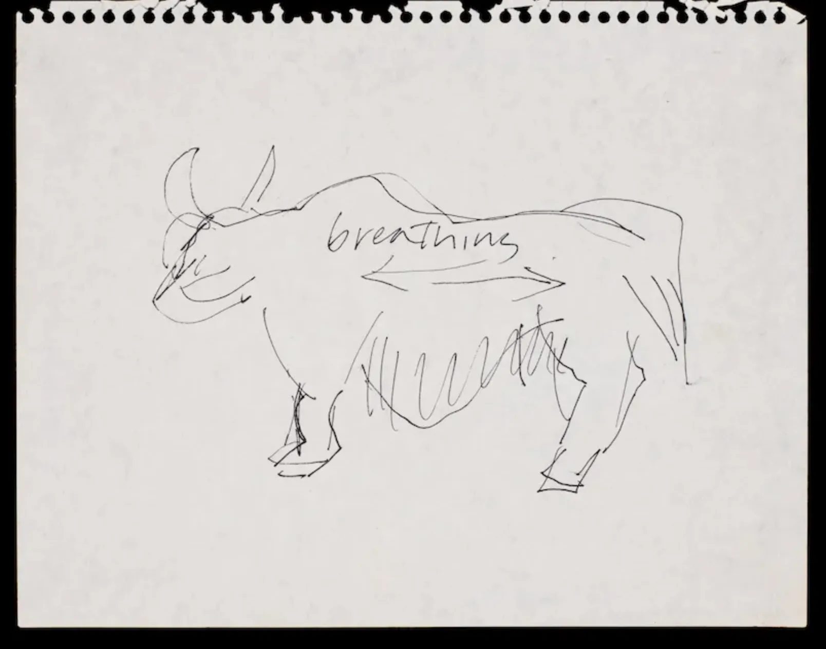 Simone Forti, Animal Study: Ox (Breathing) (1968). Ink on Paper, 9 x 12 inches. Image courtesy of the artist and The Box, LA. Photo: Fredrik Nilsen.