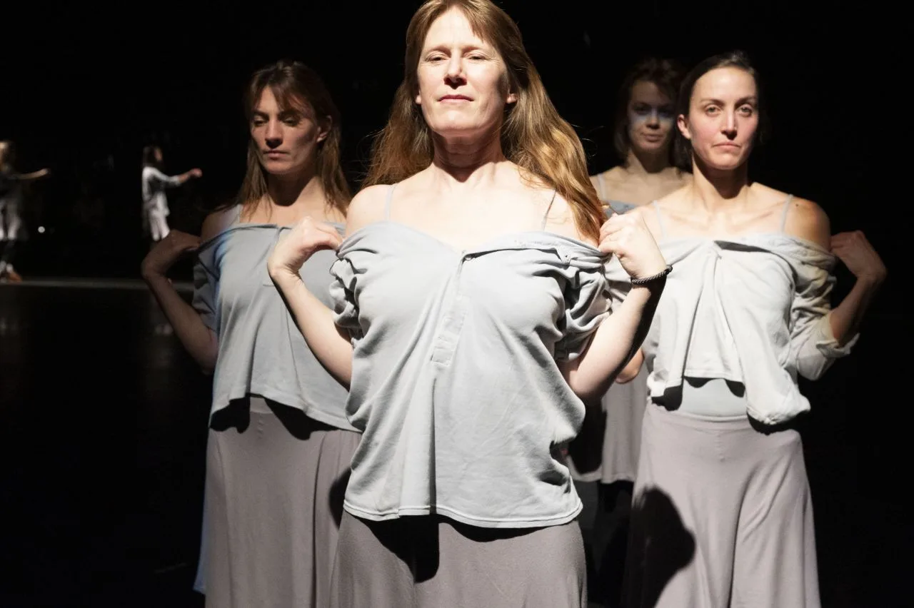 rosas multicast rosas danst rosas (c) anne van aerschot
