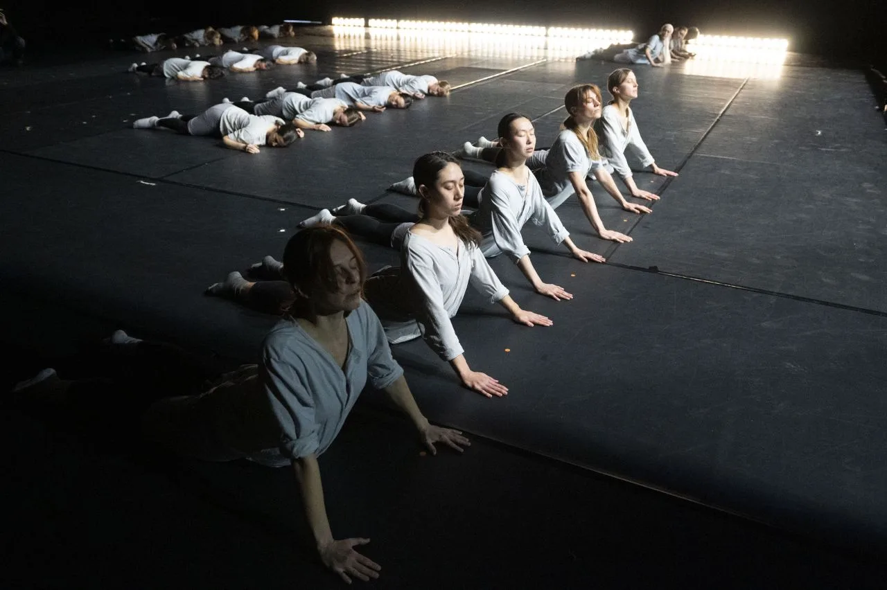 rosas multicast rosas danst rosas (c) anne van aerschot