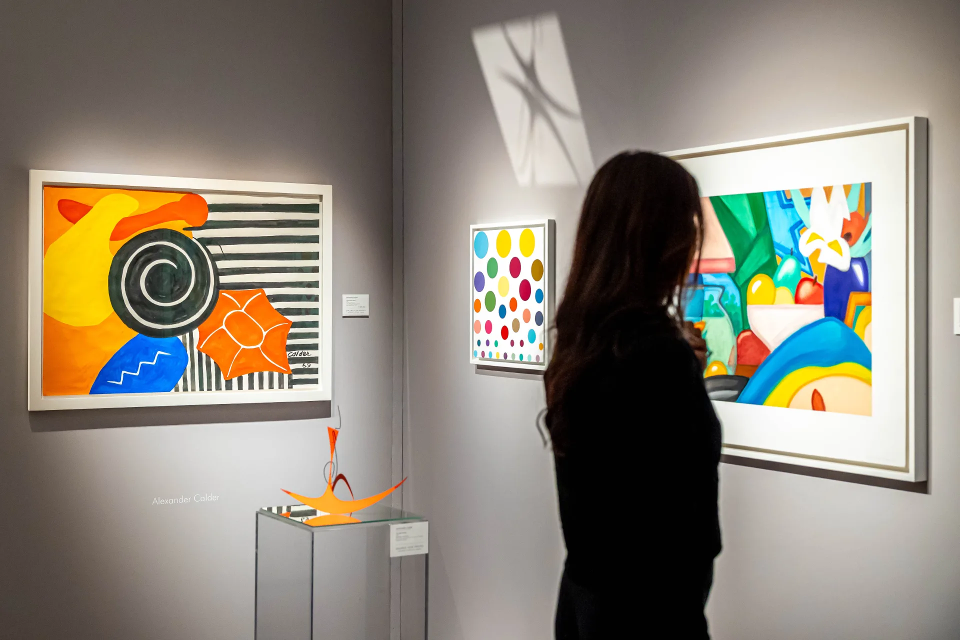 Galerie von Vertes FINE ARTS PARIS 2026 © Tanguy de Montesson