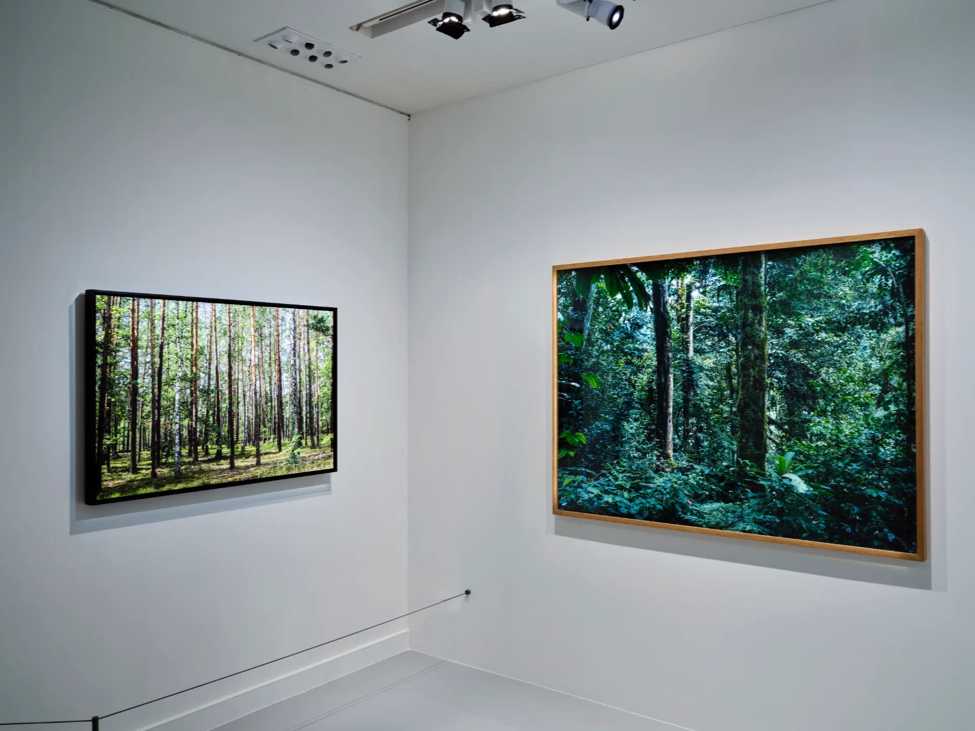 Жоанна Кийе «Лагерь невыразимого. Введение в молчание» (2019) © musée Marmottan Monet Studio Christian Baraja SLB